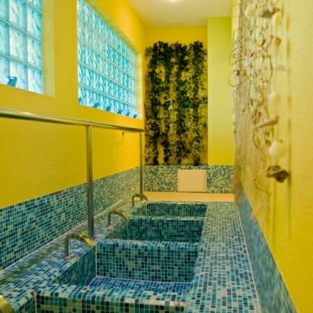 Wellness kúpeľňa s modrými dlaždicami a zelenými rastlinami.
